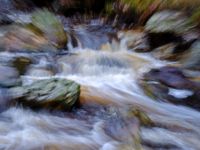 Fast dynamic flows - River la Hoëgne - Ardennes