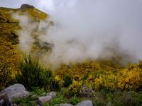 Way to Pico do Areeiro