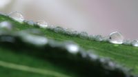 Waterdrops-4