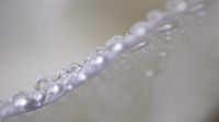 Waterdrops-5